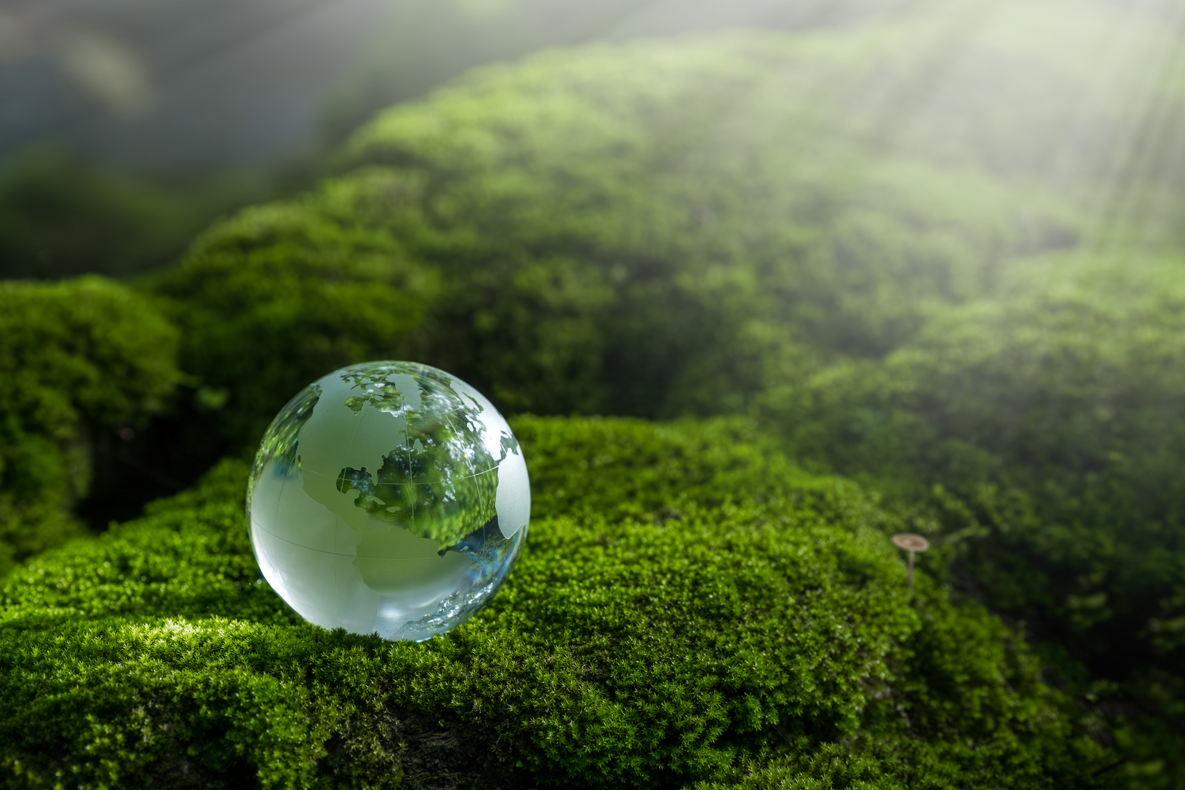 Environmental concept - Crystal Earth on forest moss with fern and sunlight - environment, save clean earth, net zero, esg ecology concept. Earth day banner